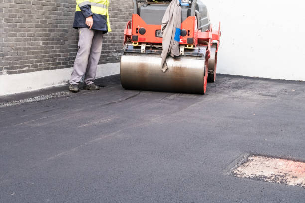 Best Decorative Concrete Driveways  in Ithaca, NY